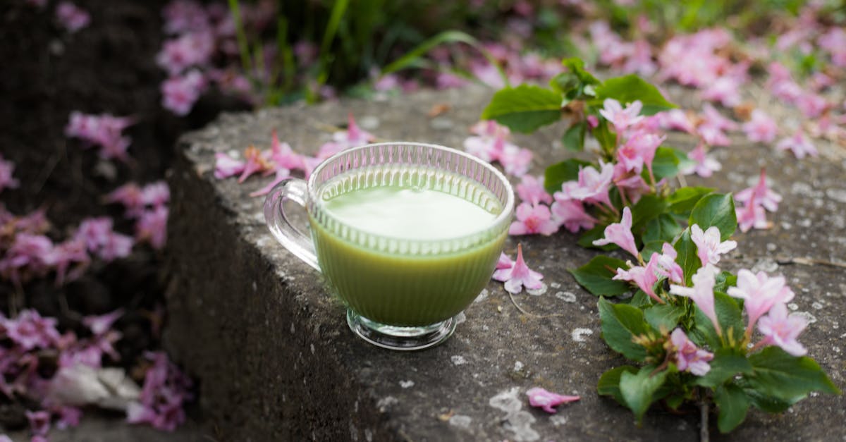 How to Incorporate Mindfulness into Your Whole Body Wellness Routine