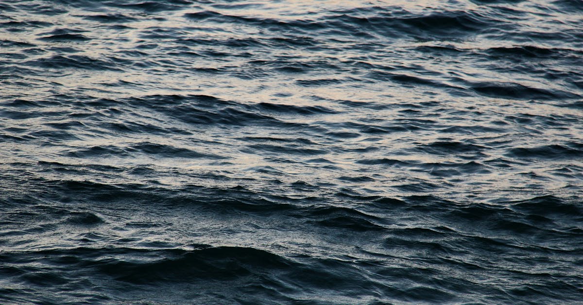 Review of Yoga Styles for Whole Body Wellness