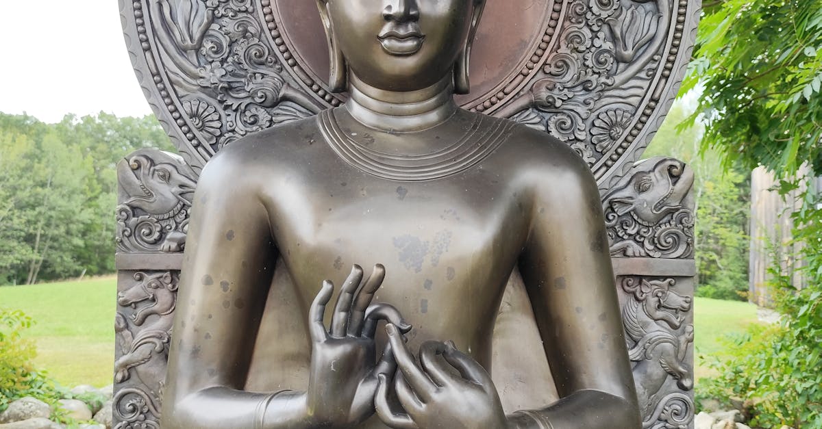 Round Up of Top 10 Practices for Achieving Whole Body Wellness