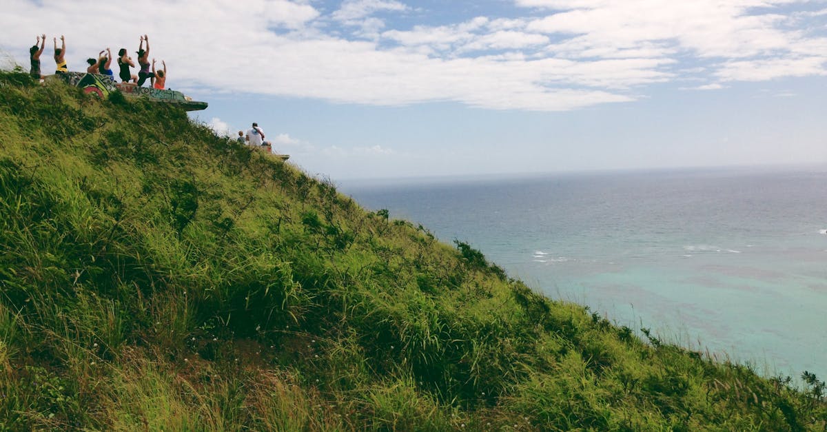 What are the 7 types of wellness?