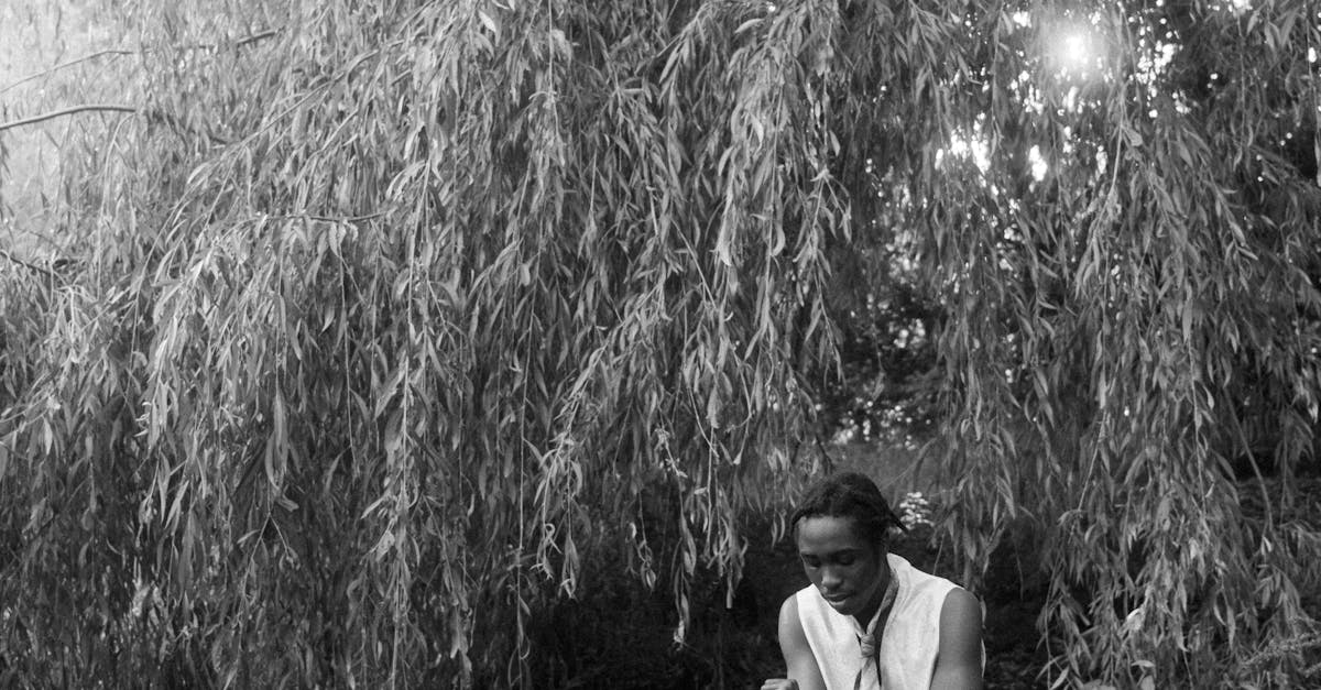 What happens during a wellness check?