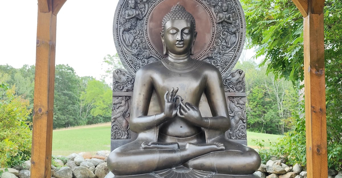 What to Eat for Optimal Whole Body Wellness