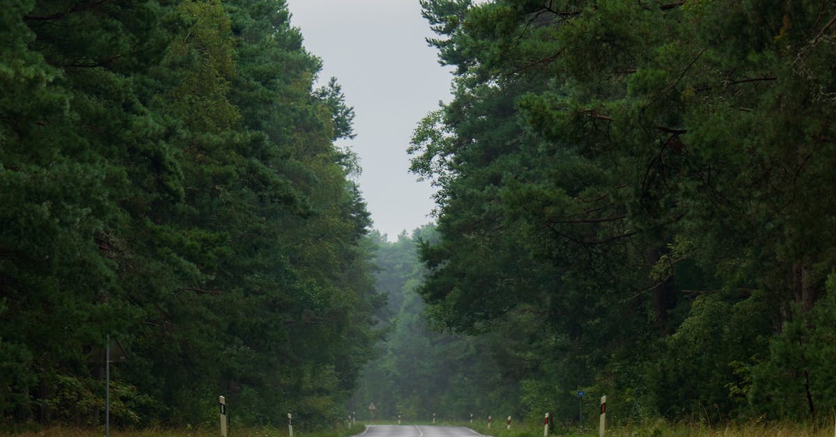 What to Expect from a Whole Body Wellness Retreat