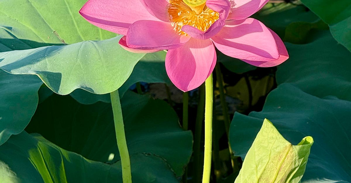 Why total body wellness?